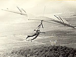 Prototype standard in 1976