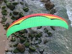  Libra Brasiliera color design at the beach.