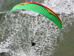  Libra Brasiliera color design at the beach.