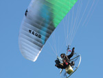  NRG - fly like a wasp sting like a bee