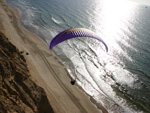  Salsa flying along the coast