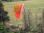  Thrust 2009 new color design