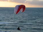  Red vista coming in for a close inspection just before sunset